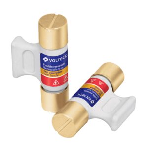 BLISTER CON 2 FUSIBLES 30A