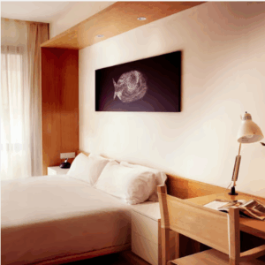 BASE PARA FOCO MR16 EMPOTRABLE