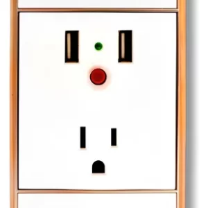 CONTACTO CON 2 ENTRADAS USB BLANCO CON DORADO